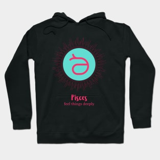 pisces zodiac sign test Hoodie